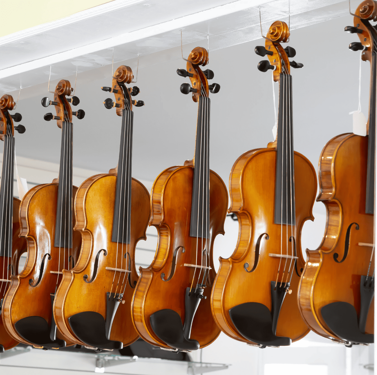 Keller Strings Violins Hanging
