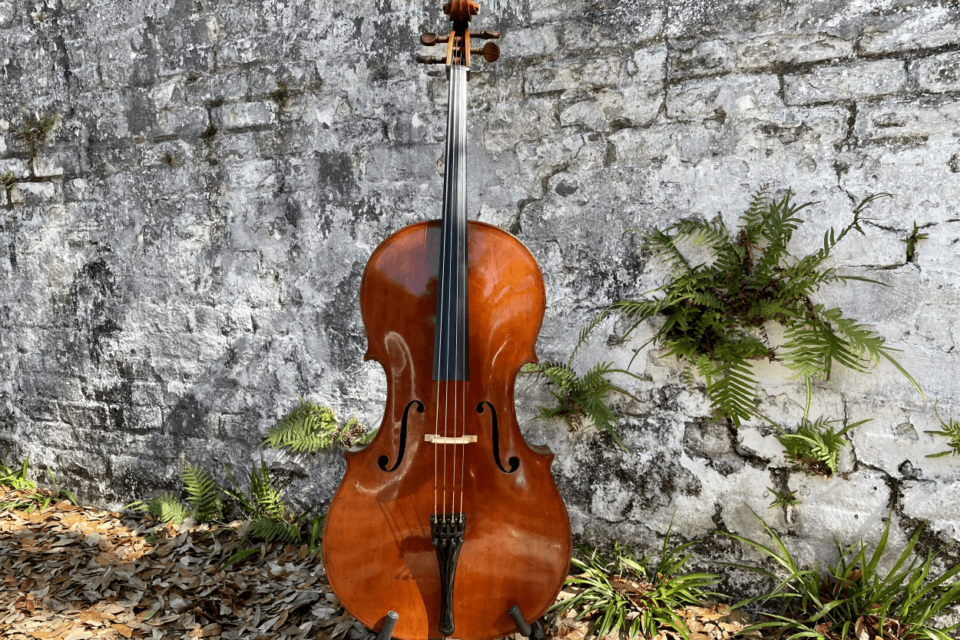 Outdoor cello pic