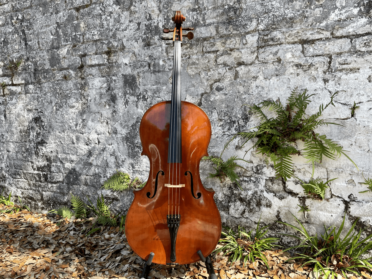 Outdoor cello pic
