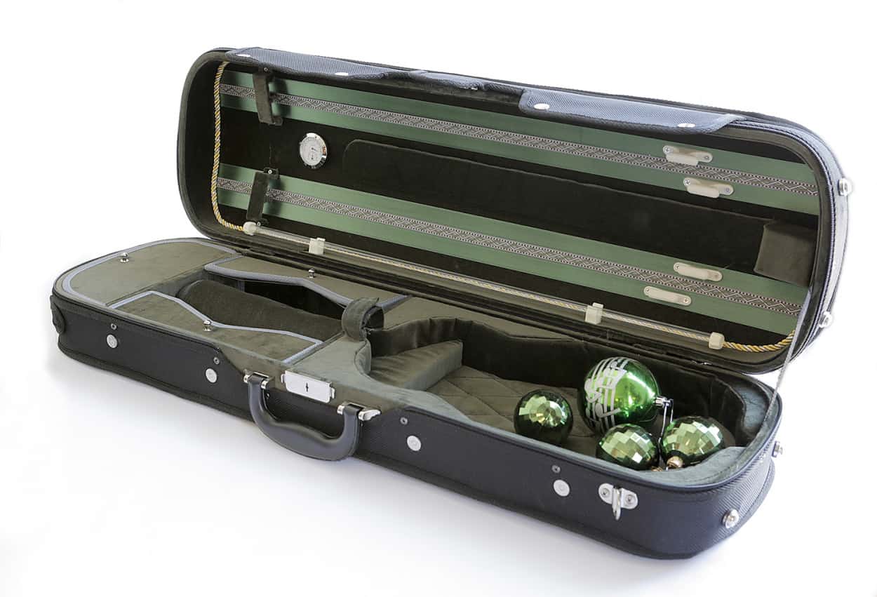 Violin Case green