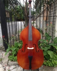 Baronne Upright Bass