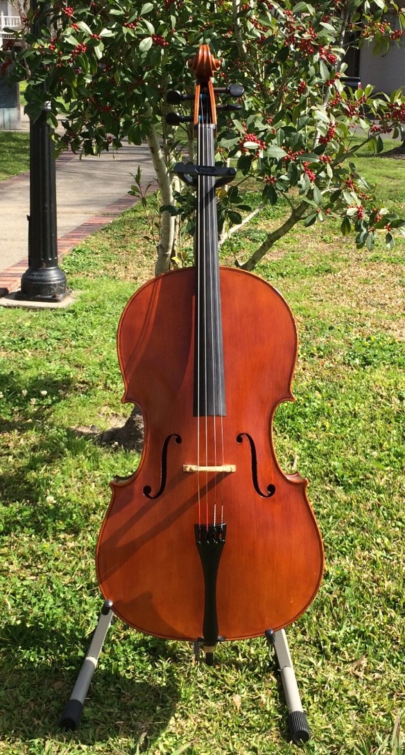 Calin Wultur Cello