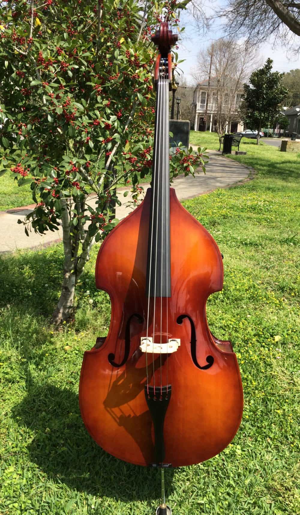 Core Academy A41 Upright Bass Keller Strings