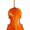Pietro Lombardi Cello Model 502