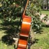 Pietro Lombardi Cello Model 502