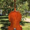 Pietro Lombardi Cello Model 502