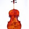 Ivan Dunov VL401 Violin
