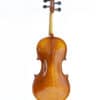 Jan Lorenz Violin Back